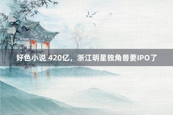 好色小说 420亿，浙江明星独角兽要IPO了