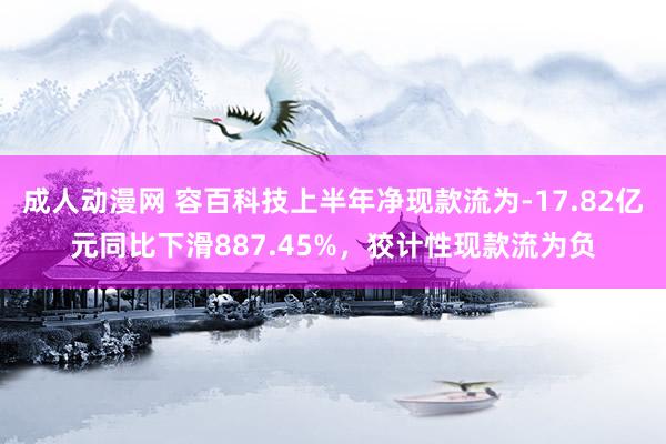 成人动漫网 容百科技上半年净现款流为-17.82亿元同比下滑887.45%，狡计性现款流为负