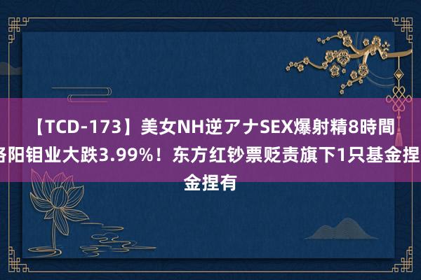 【TCD-173】美女NH逆アナSEX爆射精8時間 洛阳钼业大跌3.99%！东方红钞票贬责旗下1只基金捏有