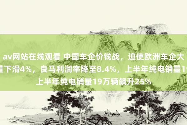 av网站在线观看 中国车企价钱战，迫使欧洲车企大降价！中国销量下滑4%，良马利润率降至8.4%，上半年纯电销量19万辆飙升25%