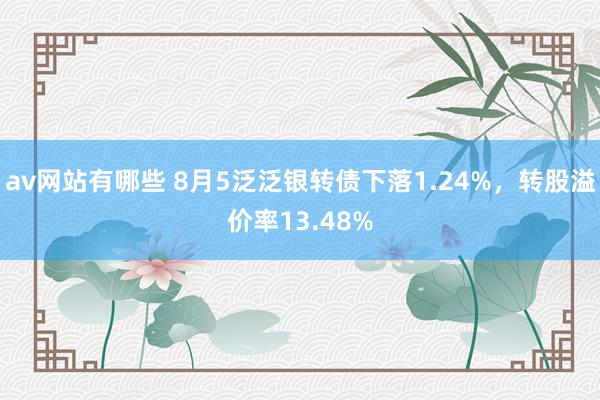 av网站有哪些 8月5泛泛银转债下落1.24%，转股溢价率13.48%