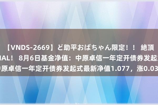 【VNDS-2669】ど助平おばちゃん限定！！ 絶頂ディルドオナニーSPECIAL！ 8月6日基金净值：中原卓信一年定开债券发起式最新净值1.077，涨0.03%