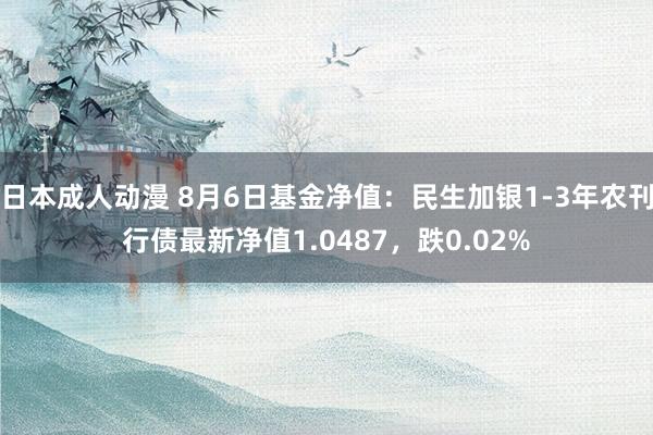 日本成人动漫 8月6日基金净值：民生加银1-3年农刊行债最新净值1.0487，跌0.02%