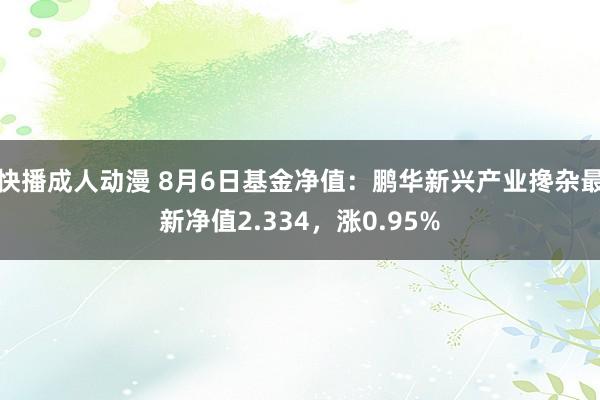 快播成人动漫 8月6日基金净值：鹏华新兴产业搀杂最新净值2.334，涨0.95%