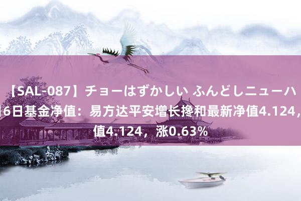 【SAL-087】チョーはずかしい ふんどしニューハーフ 2 8月6日基金净值：易方达平安增长搀和最新净值4.124，涨0.63%