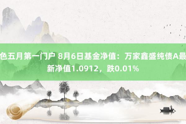 色五月第一门户 8月6日基金净值：万家鑫盛纯债A最新净值1.0912，跌0.01%