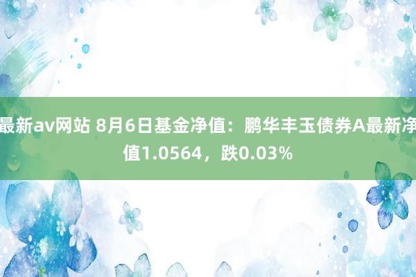 最新av网站 8月6日基金净值：鹏华丰玉债券A最新净值1.0564，跌0.03%