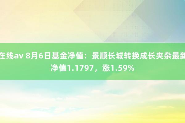 在线av 8月6日基金净值：景顺长城转换成长夹杂最新净值1.1797，涨1.59%