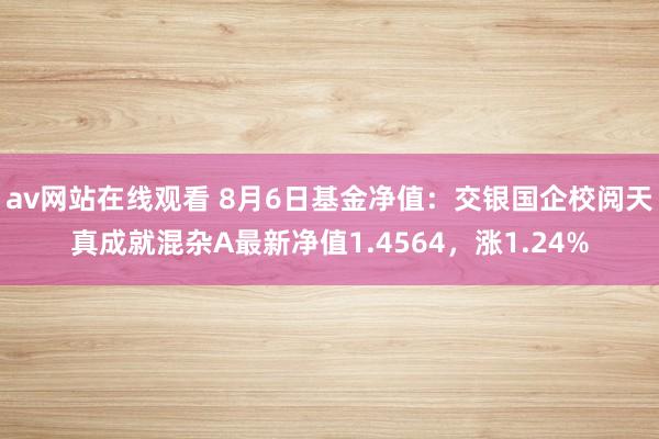 av网站在线观看 8月6日基金净值：交银国企校阅天真成就混杂A最新净值1.4564，涨1.24%