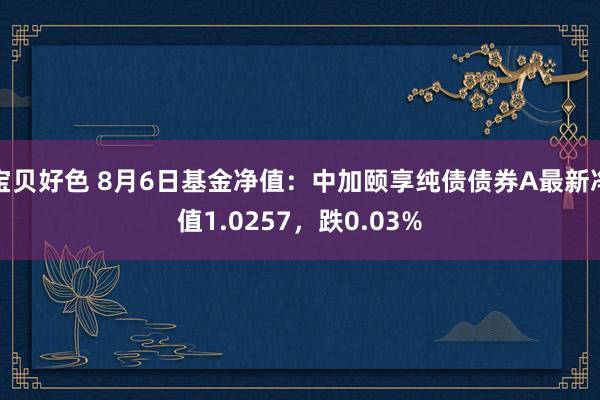 宝贝好色 8月6日基金净值：中加颐享纯债债券A最新净值1.0257，跌0.03%