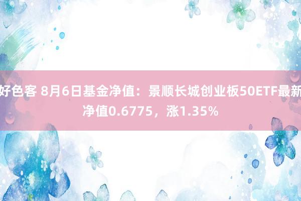 好色客 8月6日基金净值：景顺长城创业板50ETF最新净值0.6775，涨1.35%