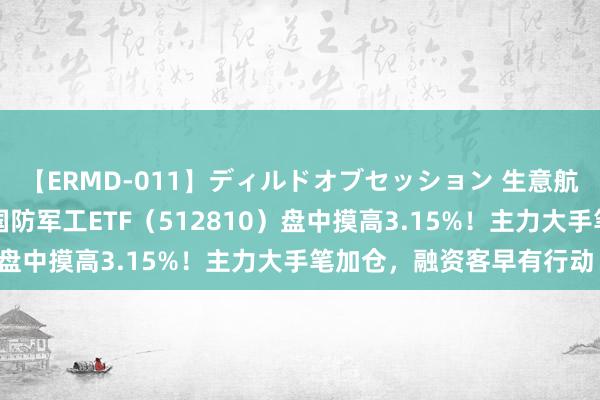 【ERMD-011】ディルドオブセッション 生意航天、低空经济再爆发，国防军工ETF（512810）盘中摸高3.15%！主力大手笔加仓，融资客早有行动！