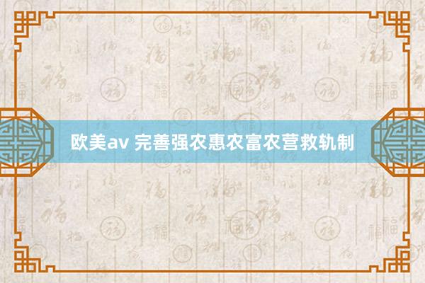 欧美av 完善强农惠农富农营救轨制