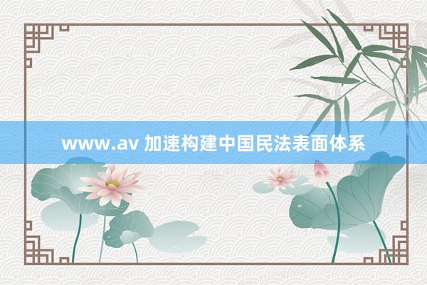 www.av 加速构建中国民法表面体系