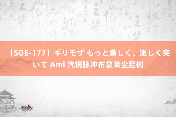 【SOE-177】ギリモザ もっと激しく、激しく突いて Ami 汽锅脉冲布袋除尘建树