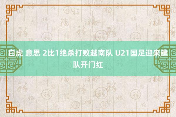 白虎 意思 2比1绝杀打败越南队 U21国足迎来建队开门红